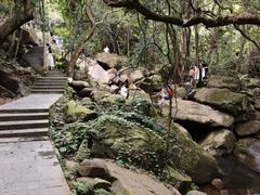 -清溪森林公园