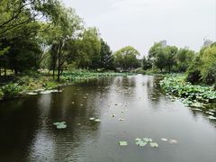 -郑州植物园