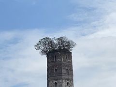 -江心屿景区