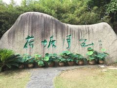 -荷塘月色湿地公园·向阳花洲
