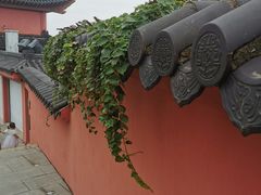 -句容茅山景区