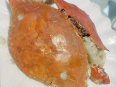 -半岛公馆(淞兴西路店)