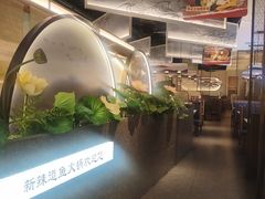 -新辣道鱼火锅(龙旗广场店)