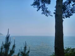 -海云台海滩
