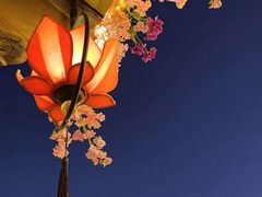 -叶叶菩提(太原别墅店)