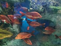 -福州罗源湾海洋世界旅游区