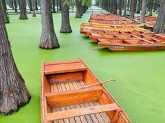 -渌洋湖湿地公园