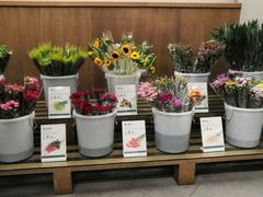 -鹿岛会员店 (龙湖三千集天街店)