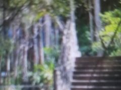 -滴水岩森林公园