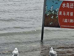 -青海湖国家重点风景名胜区