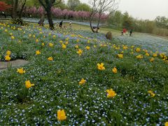 -西湖外事游船(湖滨二公园外事游船码头)