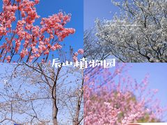 -上海辰山植物园