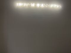 -金泽21世纪美术馆