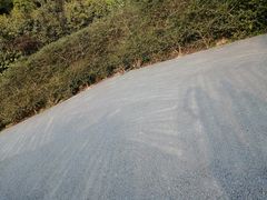 -大屏嶂森林公园