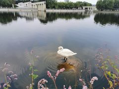 -长春世界雕塑园冰雪艺术天地