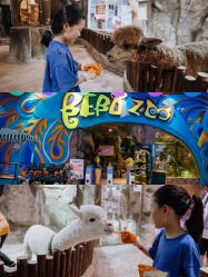 -宝燕乐园(闵行旗舰店)