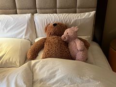 -北京中航泊悦酒店