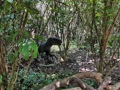-海南热带野生动植物园
