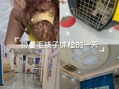 -芭比堂动物医院·CT·微创中心(新顺分院)