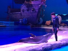 -华夏文旅海洋公园