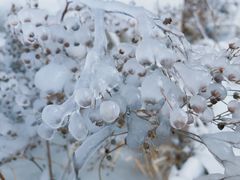 -大平台龙居瀑布旅游区