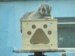 -青藏高原野生动物园