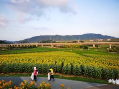 -光明小镇欢乐田园