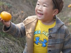 -前小桔亲子创意农场·草莓采摘·露营烧烤