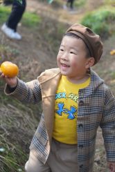 -前小桔亲子创意农场·草莓采摘·露营烧烤