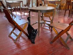 -春风十里咖啡馆