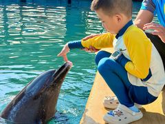 -海南分界洲岛旅游区
