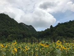 -贵阳市花溪国家城市湿地公园