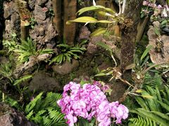 -南通洲际绿博园