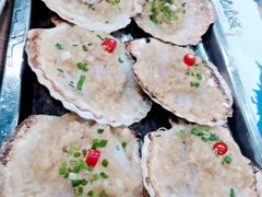 蒜蓉扇贝-老虎滩大连海鲜烧烤(建邺云锦路总店)