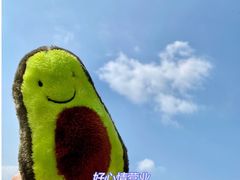 -映月湖中央公园