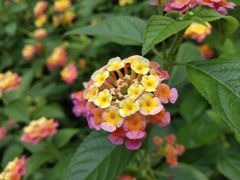 -杭百味·大众精选杭帮菜(西湖音乐喷泉店)