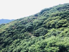 -嵩山少林文化旅游景区