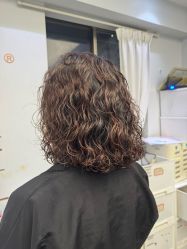 -镁连社·美联社