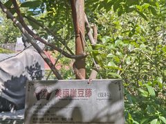 -广州神农草堂中医药博物馆