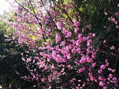 -贵阳市花溪国家城市湿地公园
