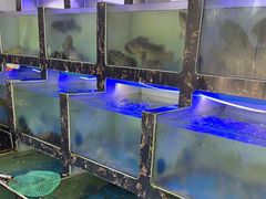 -众味海鲜大排档·活海鲜·潮汕味(南澳店)