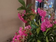 -华冠悠岚·庭院餐厅(青城后山店)