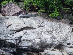 -广州白江湖森林公园