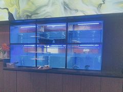 -聚宾楼·烤鸭·家宴(科技三路店)