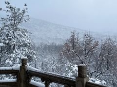 -灵谷景区