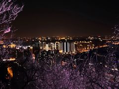-红光山