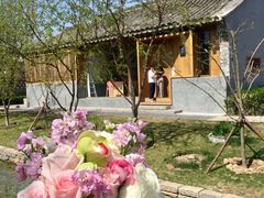 -春风习习