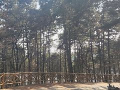 -萨尔浒风景区