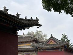 -五塔寺
