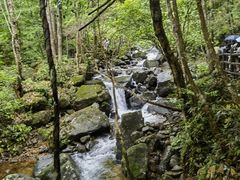 -姑婆山旅游区